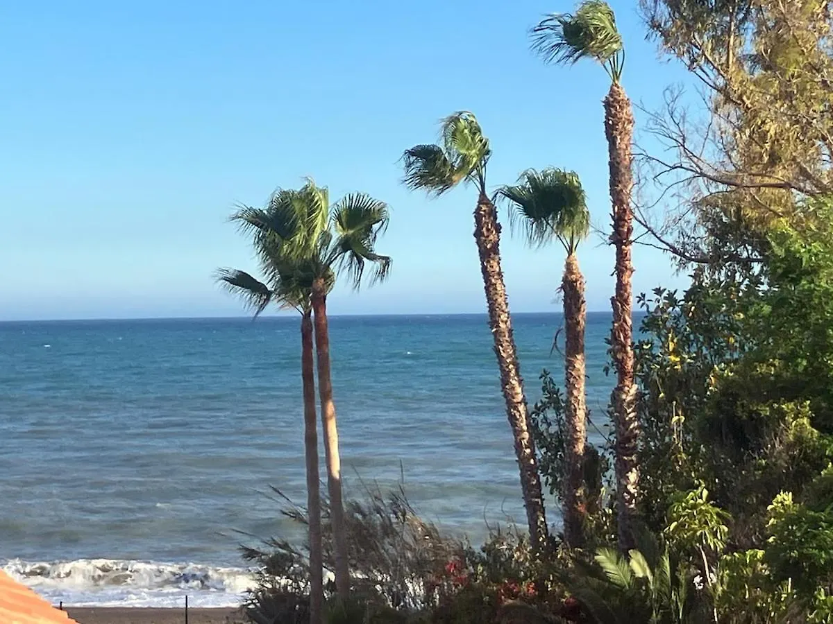 Apartman Atico Tipo Loft En Primera Linea De Playa Almayate Alto